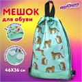 Мешок для обуви ЮНЛАНДИЯ, с ручками, боковой карман на молнии, 46х36 см, "Wild Cats", 271614 271614