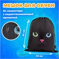 Папка на молнии с ручками А4, мешок для обуви 42х33 см, пенал 20х10 см, "Black cat" НАБОР BRAUBERG, 271434 271434