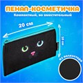 Папка на молнии с ручками А4, мешок для обуви 42х33 см, пенал 20х10 см, "Black cat" НАБОР BRAUBERG, 271434 271434