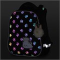 Ранец BRAUBERG LUMINOUS, 2 отделения, с брелоком, "Paws", СВЕТЯЩИЙСЯ РИСУНОК, 38х29х16 см, 271366 271366