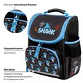 Ранец ПИФАГОР BASIC, 1 отделение, 3 кармана, эргономичная спинка, "Angry shark", 35х28х18 см, 272044 272044