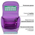 Ранец ПИФАГОР BASIC, 1 отделение, 3 кармана, эргономичная спинка, "Cat friends", 35х28х18 см, 272048 272048