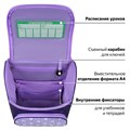 Ранец ПИФАГОР BASIC, 1 отделение, 3 кармана, эргономичная спинка, "Happy bear", 35х28х18 см, 272047 272047