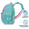 Ранец ПИФАГОР BASIC, с эргономичной спинкой, "Baby lama", 35х28х18 см, 229934 229934
