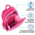 Ранец ПИФАГОР EVA BASIC, 1 отделение, "Fluffy cat", 39х30х16 см, 270691 270691