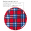 Рюкзак BRAUBERG СИТИ-ФОРМАТ универсальный, "Scottish cell", разноцветный, 41х32х14 см, 228861 228861