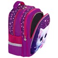 Рюкзак BRAUBERG KIDS MIND с пеналом в комплекте, 2 отделения, "Humble Cat", 40х28х18 см, 273176 273176