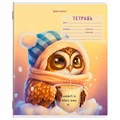 Тетрадь 12 л. BRAUBERG клетка, обложка картон, МИКС-2, 107269 107269