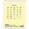 Тетрадь 24 л. BRAUBERG КЛАССИКА NEW линия, обложка картон, АССОРТИ (5 видов), 105704 105704