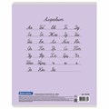 Тетрадь 24 л. BRAUBERG КЛАССИКА NEW линия, обложка картон, АССОРТИ (5 видов), 105704 105704