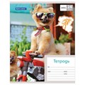 Тетрадь 24 л. BRAUBERG, клетка, обложка картон, MY BEST FRIEND, 403007 403007