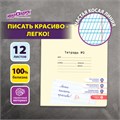Тетрадь УЧУСЬ ПИСАТЬ № 2 12 л. частая косая линия, со справочным материалом, ЮНЛАНДИЯ, 404852 404852