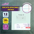 Тетрадь УЧУСЬ ПИСАТЬ № 5 12 л. узкая линия, со справочным материалом, обложка картон, ЮНЛАНДИЯ, 404850 404850
