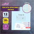 Тетрадь УЧУСЬ ПИСАТЬ № 6 12 л. клетка, со справочным материалом, обложка картон, ЮНЛАНДИЯ, 404849 404849