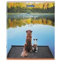 Тетрадь А5 48 л. BRAUBERG скоба, клетка, обложка картон, "Best Friends" (микс в спайке), 404360 404360
