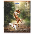 Тетрадь А5 48 л. BRAUBERG скоба, клетка, обложка картон, "Best Friends" (микс в спайке), 404360 404360