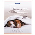 Тетрадь А5 48 л. BRAUBERG скоба, клетка, обложка картон, "Best Friends" (микс в спайке), 404360 404360