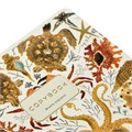 Тетрадь А5 48 л. BRUNO VISCONTI скоба, клетка, Soft Touch, фольга, "FAUNA" (5 видов), 7-48-1365 405391