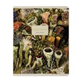 Тетрадь А5 48 л. BRUNO VISCONTI скоба, клетка, Soft Touch, фольга, "FLORA" (5 видов), 7-48-1343 405392