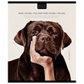 Тетрадь А5 48 л. ПЗБМ, скоба, клетка, конгрев, TWIN-лак, "Посмотри на меня" (микс в спайке), 23805 405344