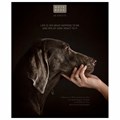 Тетрадь А5 48 л. ПЗБМ, скоба, клетка, конгрев, TWIN-лак, "Посмотри на меня" (микс в спайке), 23805 405344