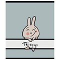 Тетрадь А5 48 л. ПЗБМ, скоба, клетка, матовая ламинация, брайль, "Веселее вместе" (микс в спайке), 23317 405346
