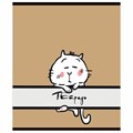 Тетрадь А5 48 л. ПЗБМ, скоба, клетка, матовая ламинация, брайль, "Веселее вместе" (микс в спайке), 23317 405346