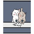 Тетрадь А5 48 л. ПЗБМ, скоба, клетка, матовая ламинация, брайль, "Веселее вместе" (микс в спайке), 23317 405346