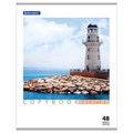 Тетрадь А5, 48 л., BRAUBERG скоба, клетка, обложка картон, КАНИКУЛЫ, 401819 401819