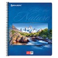 Тетрадь А5, 48 л., BRAUBERG, гребень, клетка, обложка картон, ПРИРОДА, 401874 401874