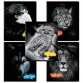 Тетрадь А5, 48 л., BRAUBERG, скоба, клетка, выборочный лак, "Wild eyes" (микс в спайке), 404343 404343