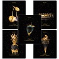 Тетрадь А5, 48 л., BRAUBERG, скоба, клетка, матовая ламинация, фольга, "Black&Gold" (микс в спайке), 404370 404370