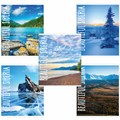 Тетрадь А5, 48 л., BRAUBERG, скоба, клетка, обложка картон, ПРИРОДА, 403031 403031