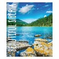 Тетрадь А5, 48 л., BRAUBERG, скоба, клетка, обложка картон, ПРИРОДА, 403031 403031