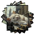 Тетрадь А5, 48 л., ERICH KRAUSE, скоба, клетка, глянцевая ламинация, "Big City Cats" (микс в спайке), 63317 405273