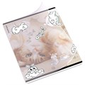 Тетрадь обложка пластик, А5, 48 л., скоба, клетка, ErichKrause, "Dream Cat" (микс в спайке), 54161 405266