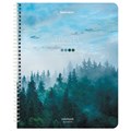 Тетрадь А5 96 л. BRAUBERG, гребень, клетка, обложка картон, "Travel" (микс в спайке), 404426 404426