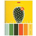 Тетрадь А5, 80 л., HATBER гребень, клетка, обложка картон, "Color Set" (4 вида в спайке), 80Т5В1гр 404491