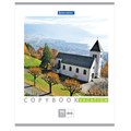 Тетрадь А5, 96 л., BRAUBERG, скоба, клетка, обложка картон, КАНИКУЛЫ, 401847 401847