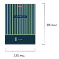 Тетрадь на кольцах БОЛЬШАЯ А4 (225х300 мм), 100 листов, твердый картон, клетка, BRAUBERG, Полосы, 403273 403273