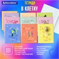Тетради предметные со справочным материалом, КОМПЛЕКТ 12 ПРЕДМЕТОВ, 48 л., обложка картон, BRAUBERG, "VISION", 404323 404323