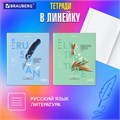 Тетради предметные со справочным материалом, КОМПЛЕКТ 12 ПРЕДМЕТОВ, 48 л., обложка картон, BRAUBERG, "VISION", 404323 404323