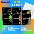Тетради предметные, КОМПЛЕКТ 10 ПРЕДМЕТОВ, 48 л., глянцевый лак, BRAUBERG, "BLACK & BRIGHT", 403560 403560