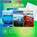 Тетради предметные, КОМПЛЕКТ 10 ПРЕДМЕТОВ, 48 л., обложка картон, BRAUBERG, "ПРИРОДА", 404839 404839