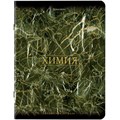 Тетради предметные, КОМПЛЕКТ 12 ПРЕДМЕТОВ, 48 л., SoftTouch, фольга, BRAUBERG, "MARBLE", 404326 404326