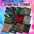Тетради предметные, КОМПЛЕКТ 12 ПРЕДМЕТОВ, 48 л., SoftTouch, фольга, BRAUBERG, "MARBLE", 404326 404326
