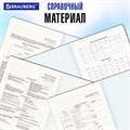 Тетради предметные, КОМПЛЕКТ 12 ПРЕДМЕТОВ, 48 л., TWIN-лак, BRAUBERG, "DOG БОБИК", 404840 404840