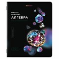 Тетради предметные, КОМПЛЕКТ 12 ПРЕДМЕТОВ, 48 л., глянцевый УФ-лак, BRAUBERG, "MAGICAL", 404610 404610