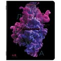 Тетради предметные, КОМПЛЕКТ 12 ПРЕДМЕТОВ, 48 л., глянцевый УФ-лак, BRAUBERG, "PIGMENT", 404834 404834