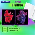 Тетради предметные, КОМПЛЕКТ 12 ПРЕДМЕТОВ, 48 л., глянцевый УФ-лак, BRAUBERG, "PIGMENT", 404834 404834